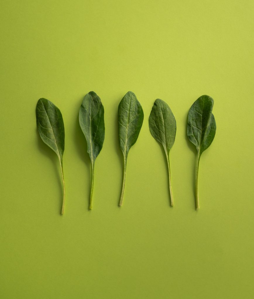 SABER MÁS PARA COMER MEJOR